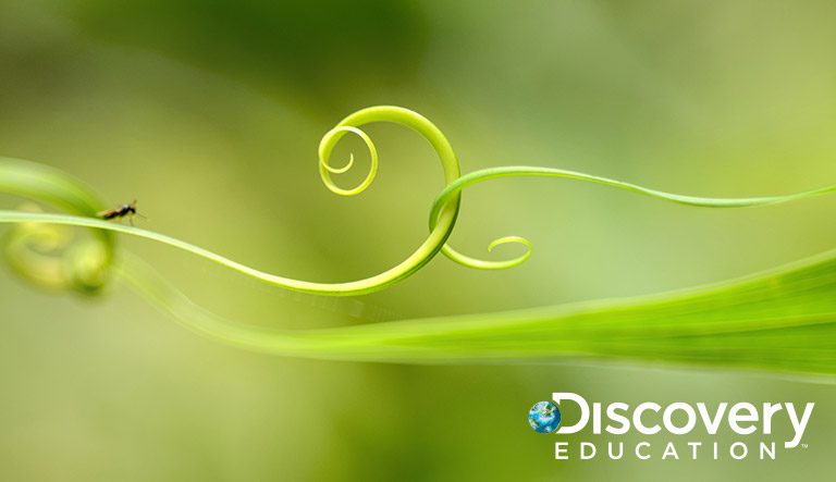 Discovery Education Expands Partnership with Clever