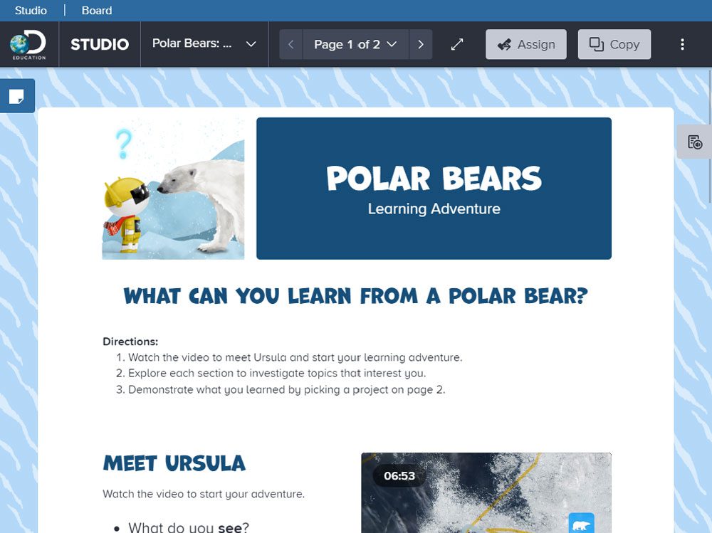 Polar Bear Channel in Discovery Education