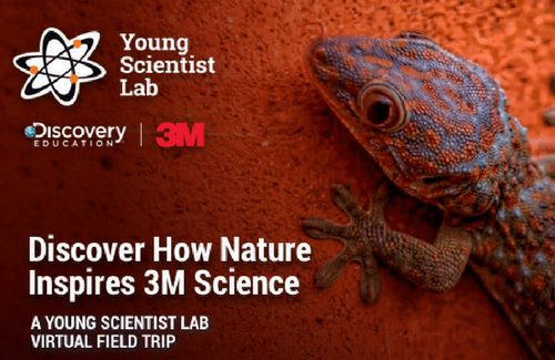 How Nature Inspires 3M Science